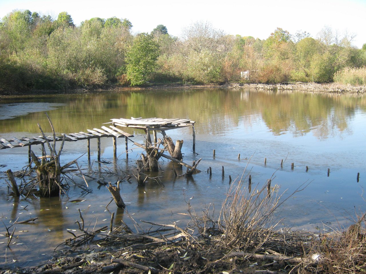Село Гришки - Гришки
