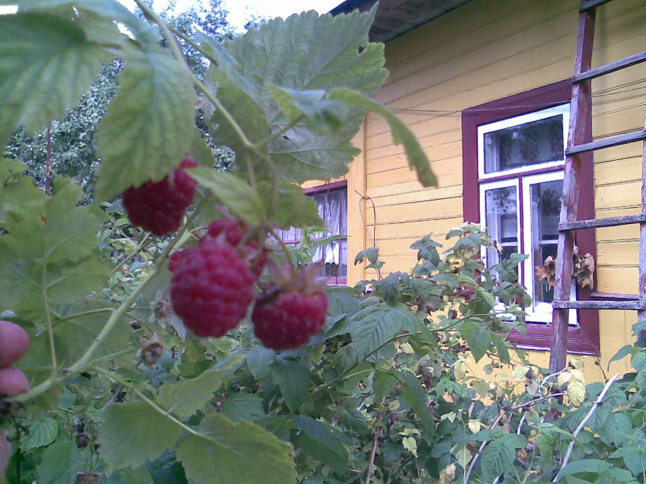 Школа - Guta-Kaminska