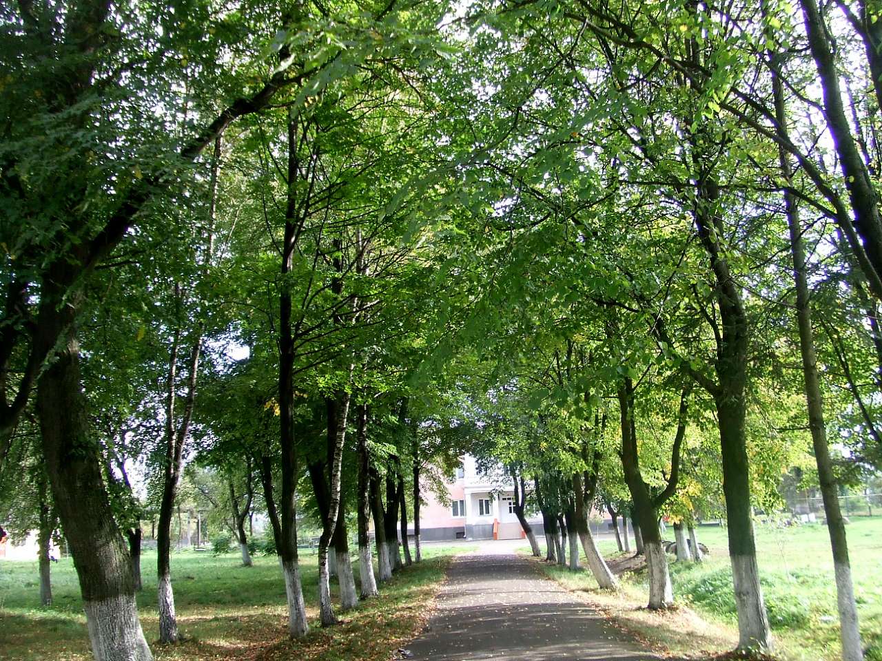 школа - Derzhiv