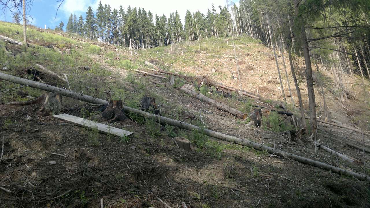Екс Грибні місця - Верхний Яловец