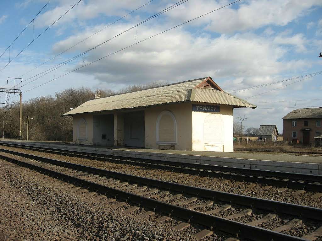 Селище Триліси - Триліси