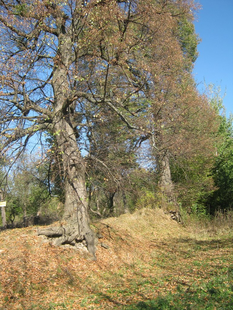 Садиба Роллє - Гришки