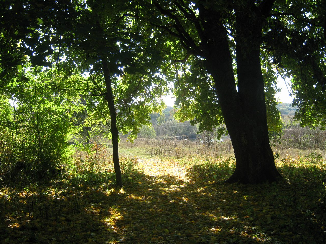 Садиба Роллє - Гришки