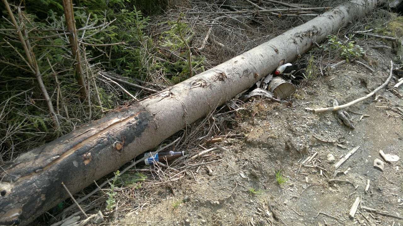 Екс Грибні місця - Верхний Яловец