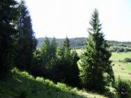 Краєвиди с.Бітля