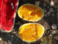 Любча - Останні фото