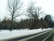 ЖОРНІВКА З ВІКНА АВТО