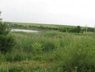 Рідне село Пуків