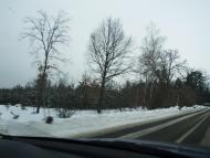 ЖОРНІВКА З ВІКНА АВТО