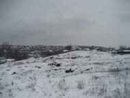 Богуслав зимовий.