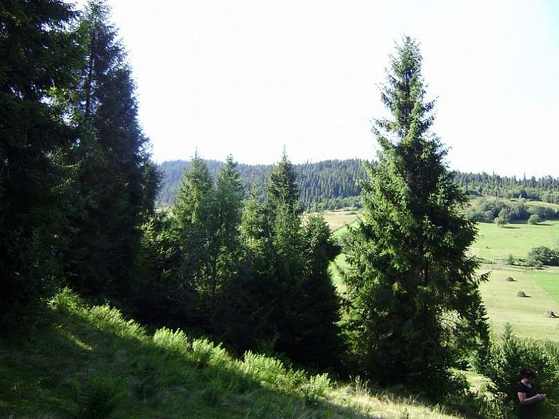 Краєвиди с.Бітля - Bitlya