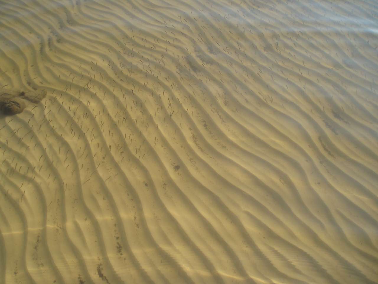 село Циблі - Циблі