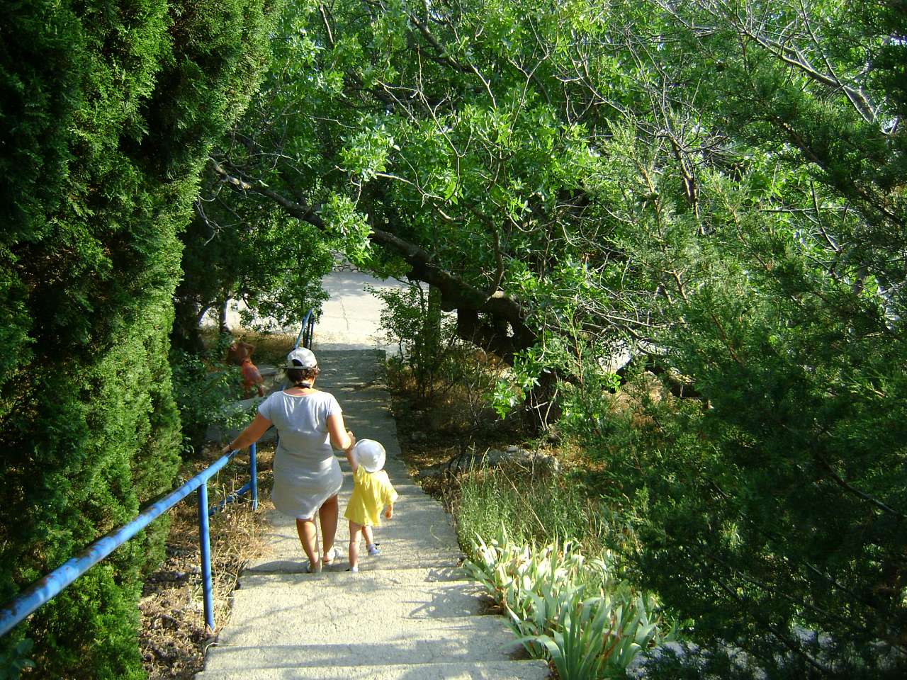 Понизівка - Понизовка