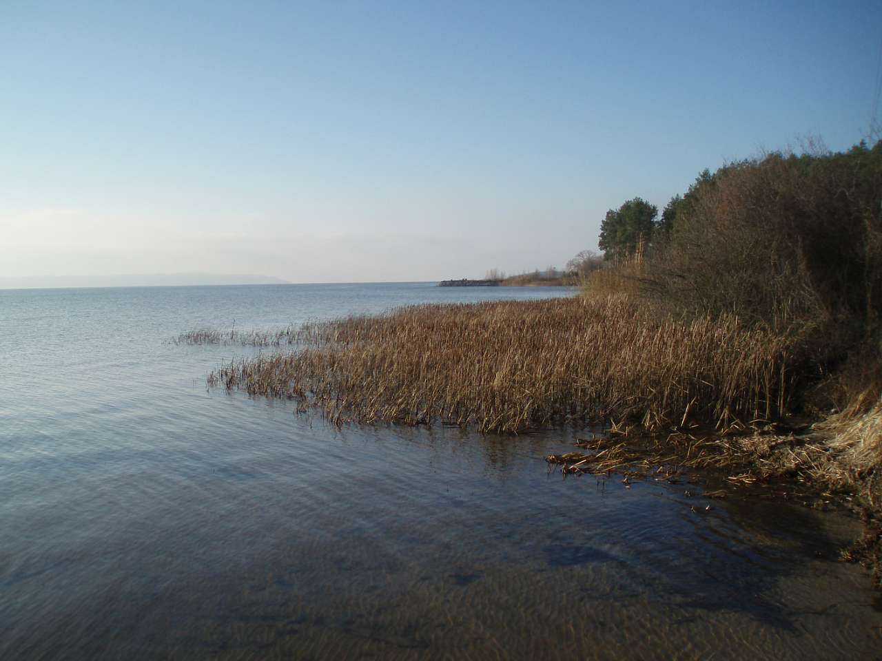 село Циблі - Цибли