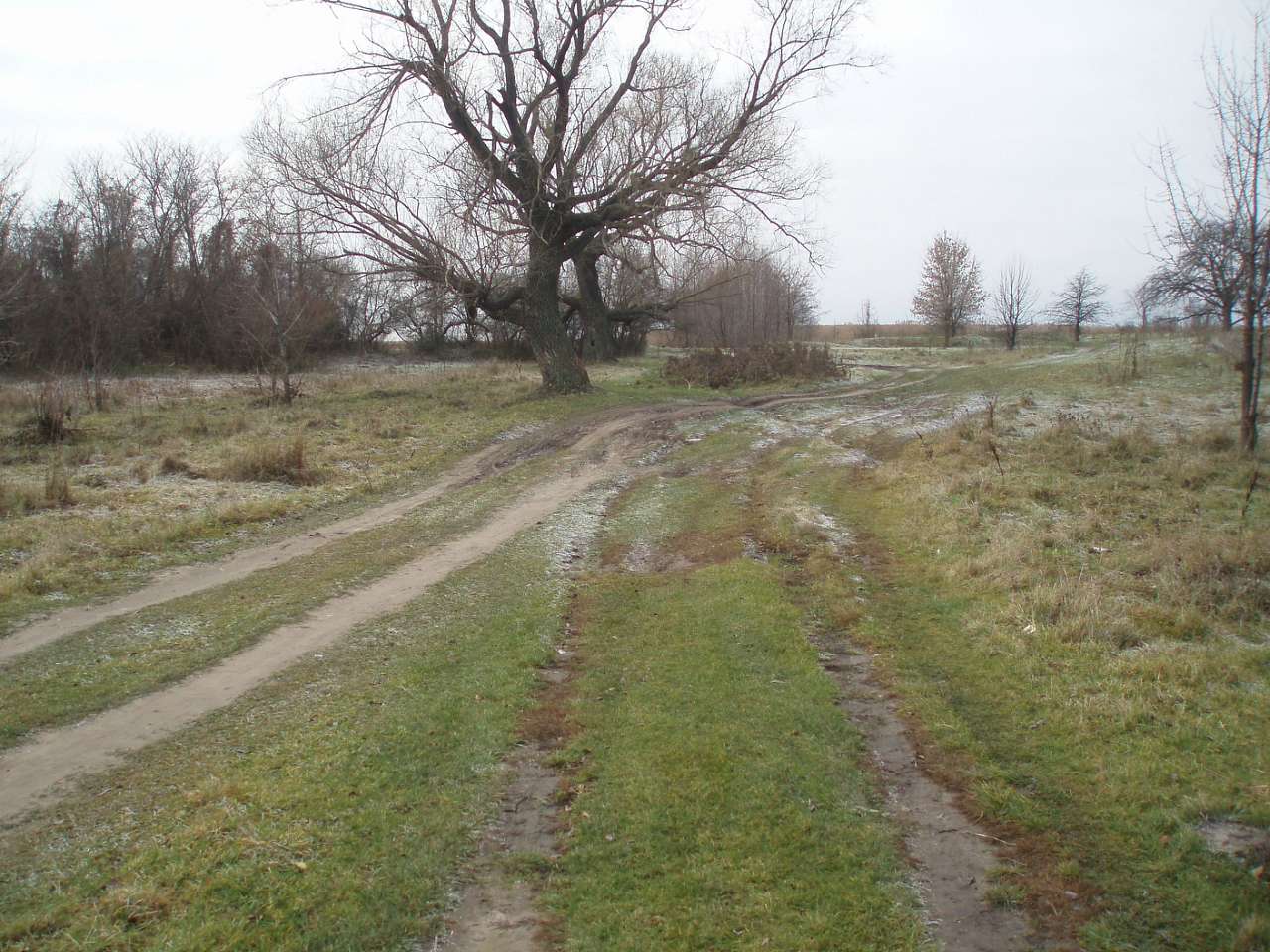 село Циблі - Tsybli