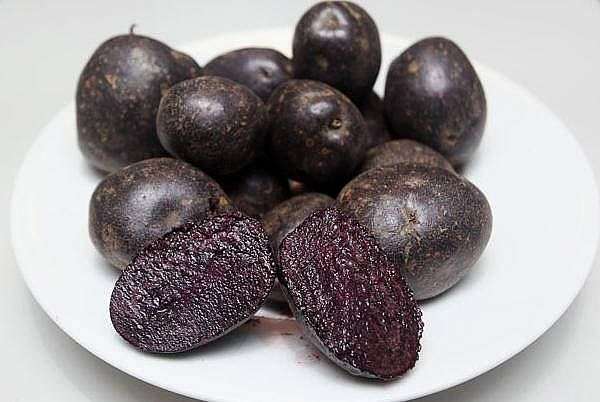 Любча - Любча