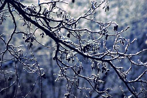 Природа - Мельниця-Подільська