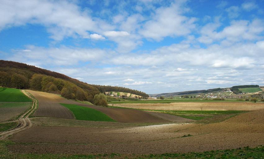 ПРИРОДА УРМАНІ - Урмань