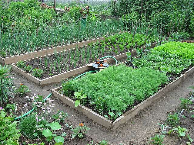 Любча - Любча