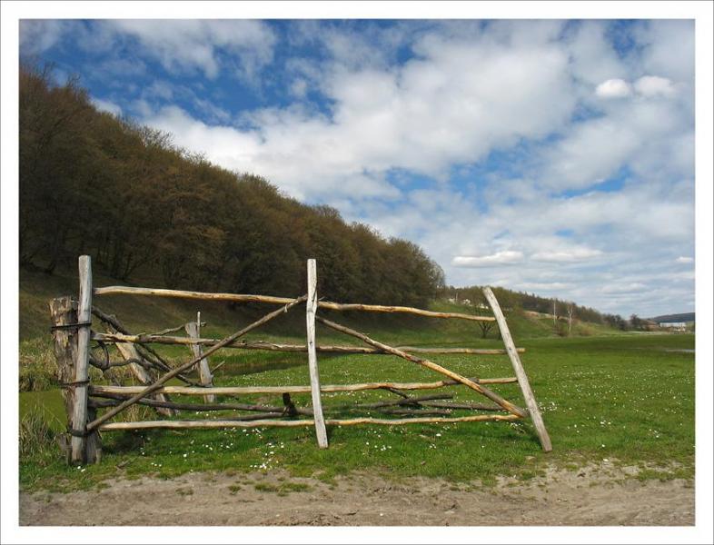 ПРИРОДА УРМАНІ - Урмань