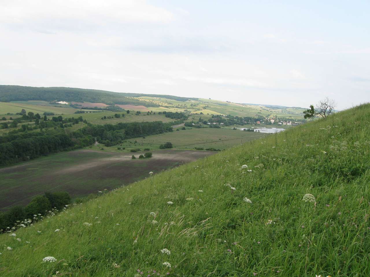 Рідне село Пуків - Пуків