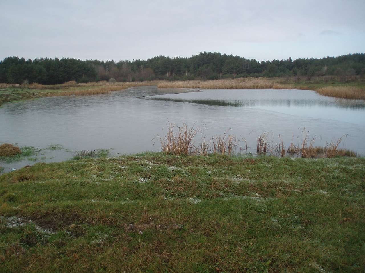 село Циблі - Циблі