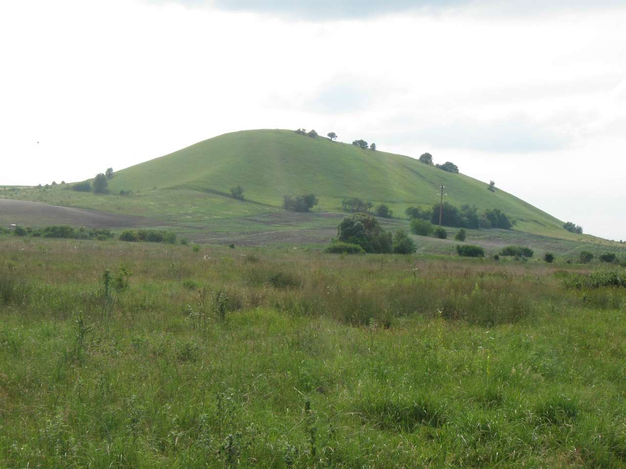 Рідне село Пуків - Pukiv