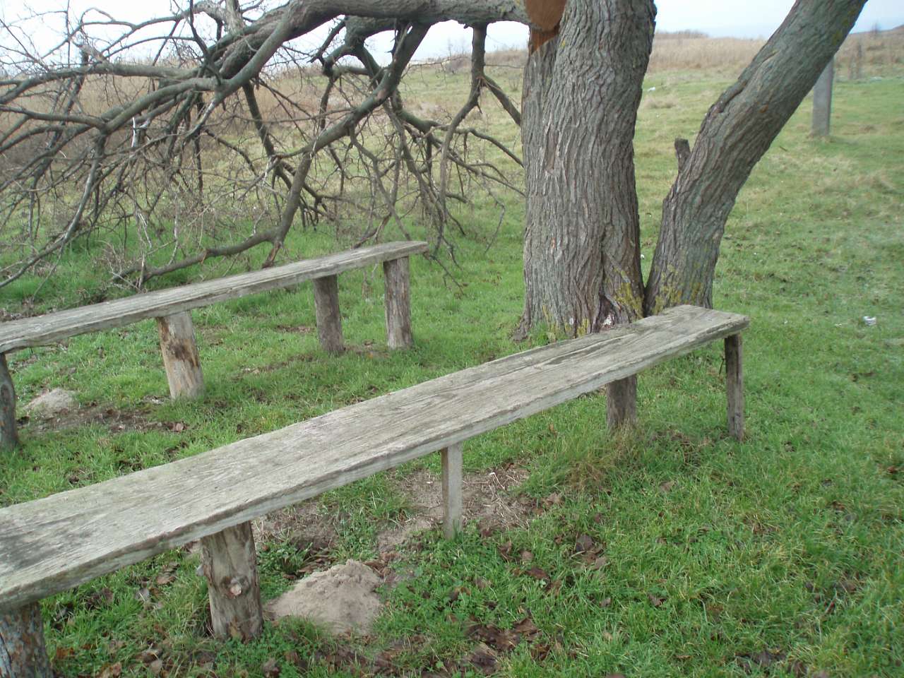 село Циблі - Цибли