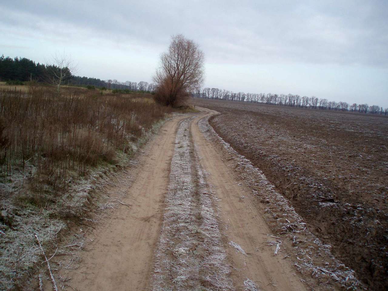 село Циблі - Tsybli