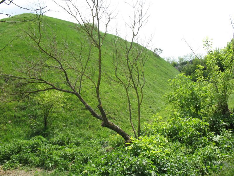  Залишки Білівського городища - Білів