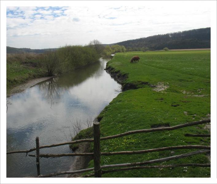 ПРИРОДА УРМАНІ - Урмань