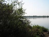 Забір'я з panoramio.com