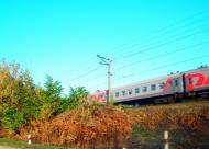 Дачне з panoramio.com