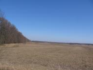 Малинівка з panoramio.com