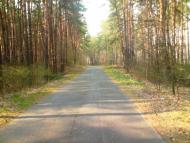 Лабурівка з panoramio.com