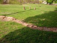 Перегонівка з panoramio.com