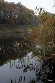 Вільне з panoramio.com