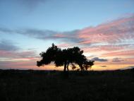 Кашперівка з panoramio.com