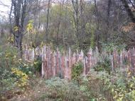 Рокитне з panoramio.com