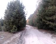 Вишняки з panoramio.com - Вишняки
