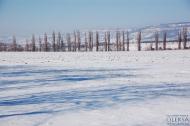 Мостове з panoramio.com
