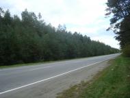 Цвітоха з panoramio.com