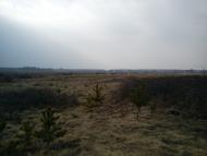 Арламівська Воля з panoramio.com