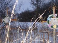 Тополевка - Последние фото