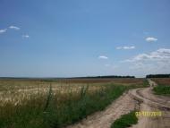 Михайлівка з panoramio.com