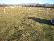 Добре з panoramio.com