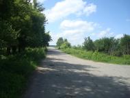 Малиничі з panoramio.com