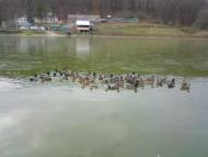 Микільське з panoramio.com