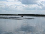 Хабарище з panoramio.com