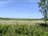 Нижній Коропець з panoramio.com